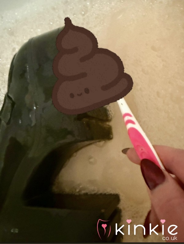Attention Toilet Slaves - I Have Some Filth For You
