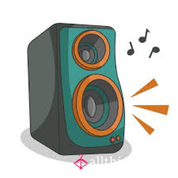 Audio Recordings/Voice Notes