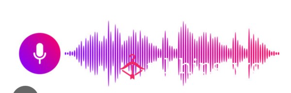 Audio Voice Note 📝