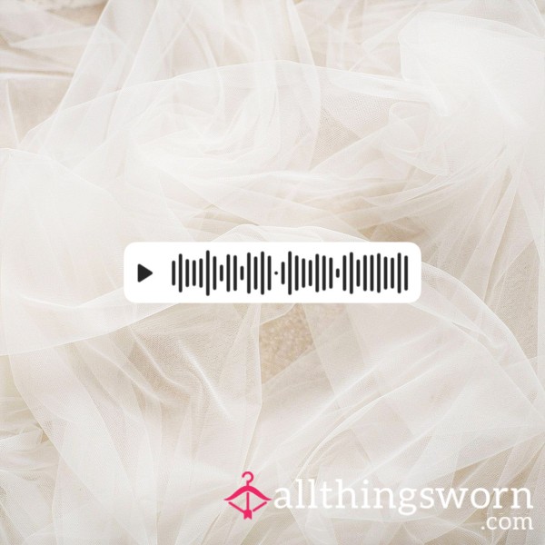 📞 Audio/Voice Notes 📞