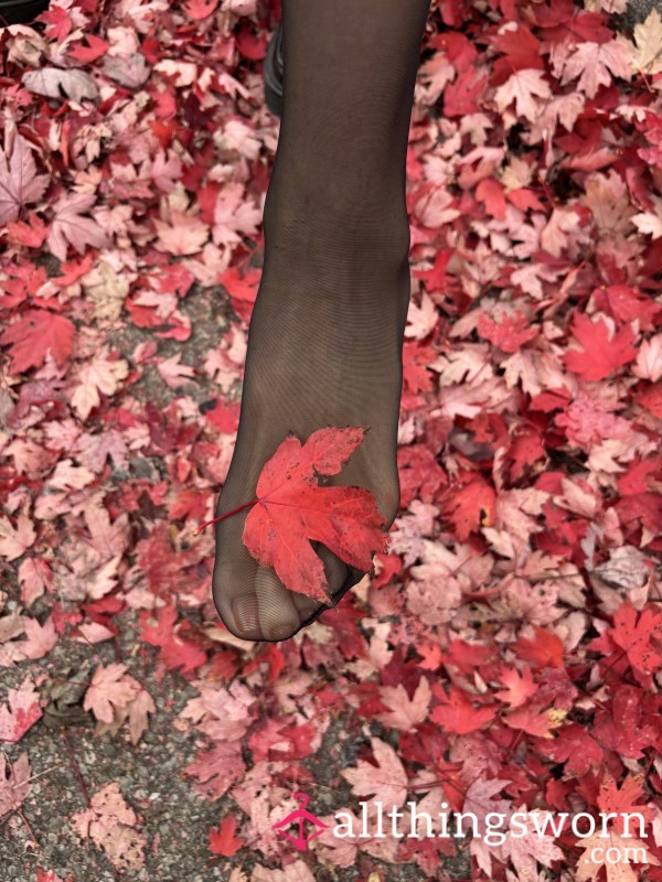 🍁 Autumn Trail Stockings — “softly Damp & Cozy” 🧦  Limited Season Run • Captured On Quiet Hill Trails ⛰️🌲