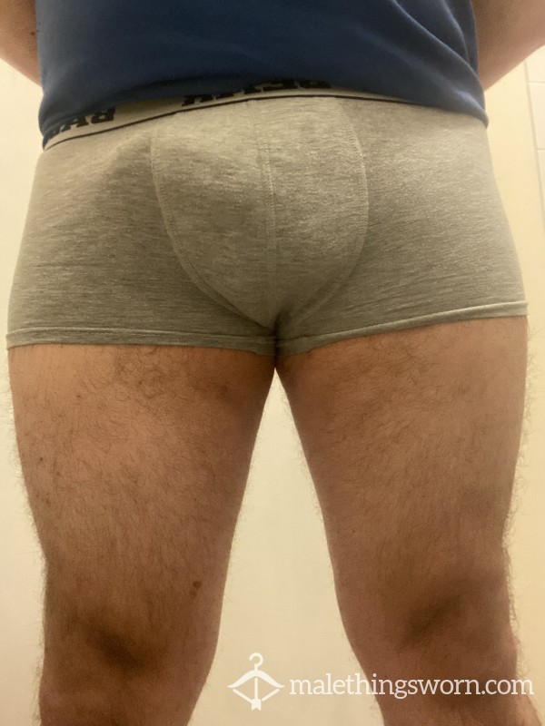 Bad Bear Boxers
