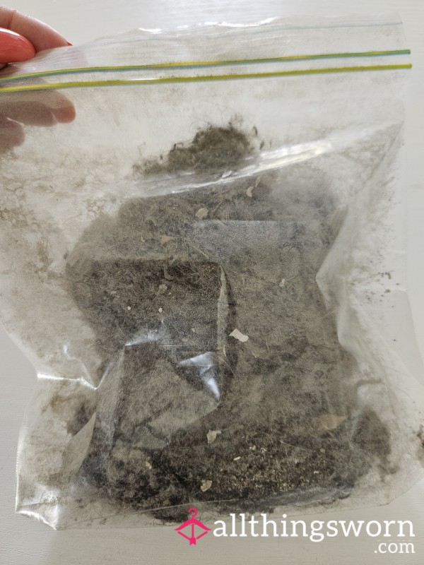 Bag Of Hoover, Vacuum Dirt, Dust.