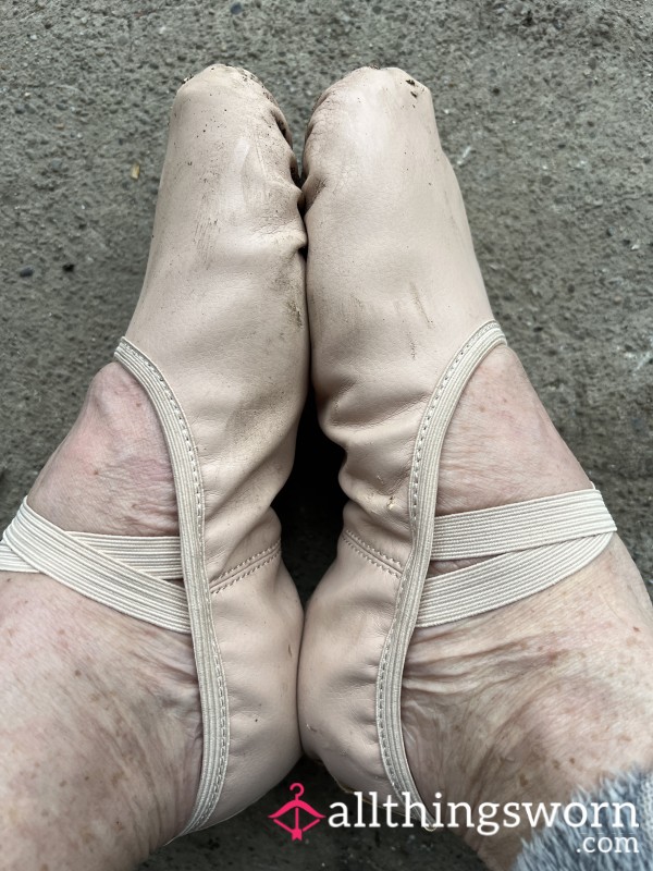 Ballet Slippers Comes With Seven Day Wear Well Worn Stinky