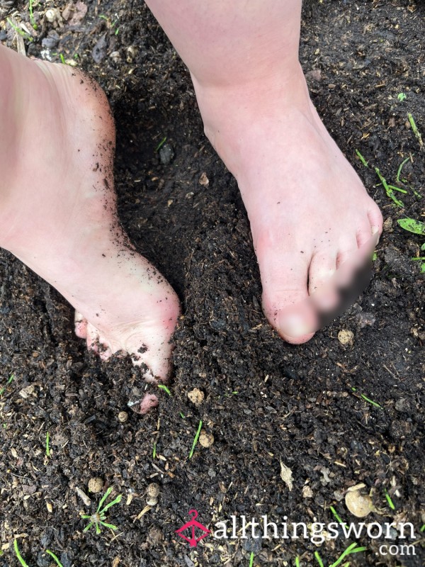 Barefoot In The Dirt POV- Spent The Afternoon Weeding The Allotment—just Me, The Mud, And No Shoes In Sight 👣