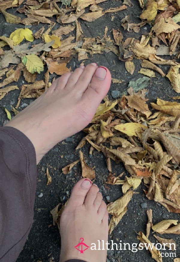 Barefoot In The Fall