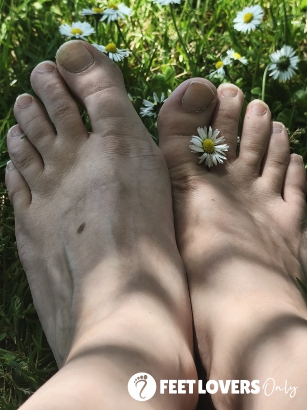 💚 BAREFOOT IN THE PARK 💚