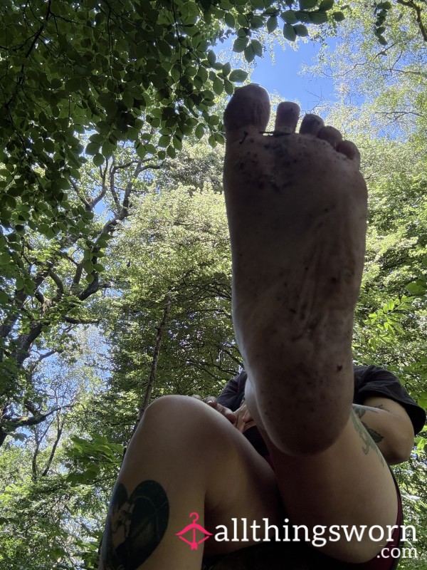 Barefoot In The Woods 🦶🏼🪾