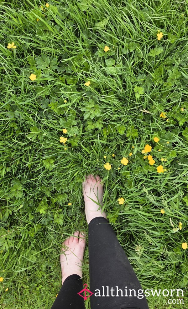 Barefoot Through The Flowery Gra**