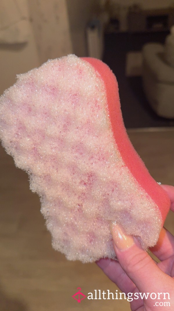Bath Sponge