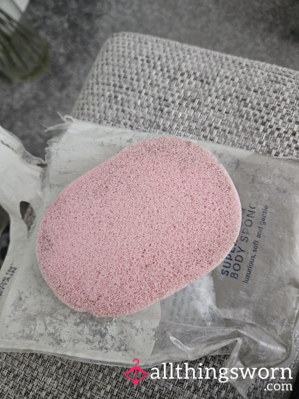 Bath Sponge