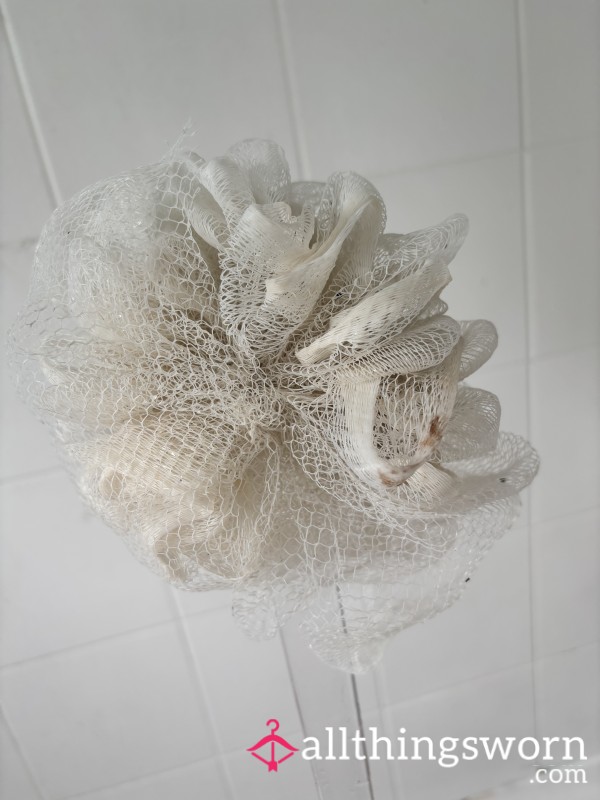 Bath Sponge