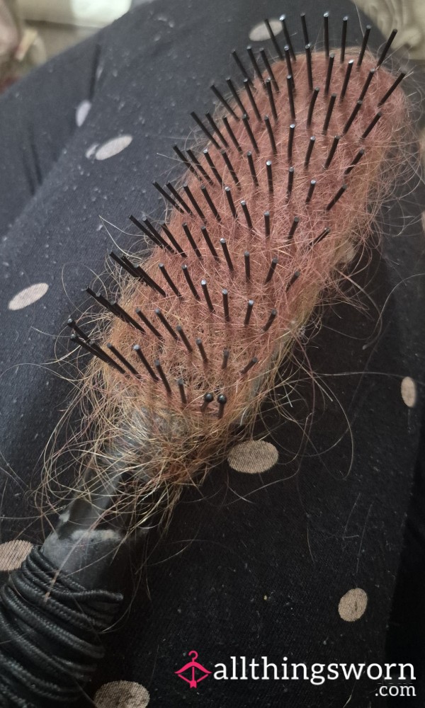 Battered Brush Full Of Hair, Before Dyed And After.
