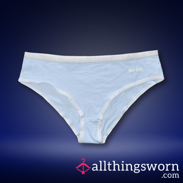 BBW Blue Cotton Panty