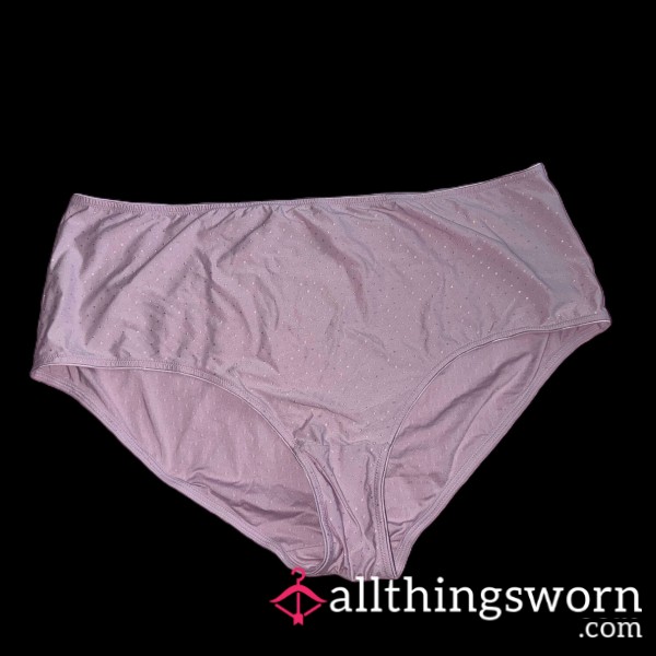 BBW Light Pink/purple Granny Panties