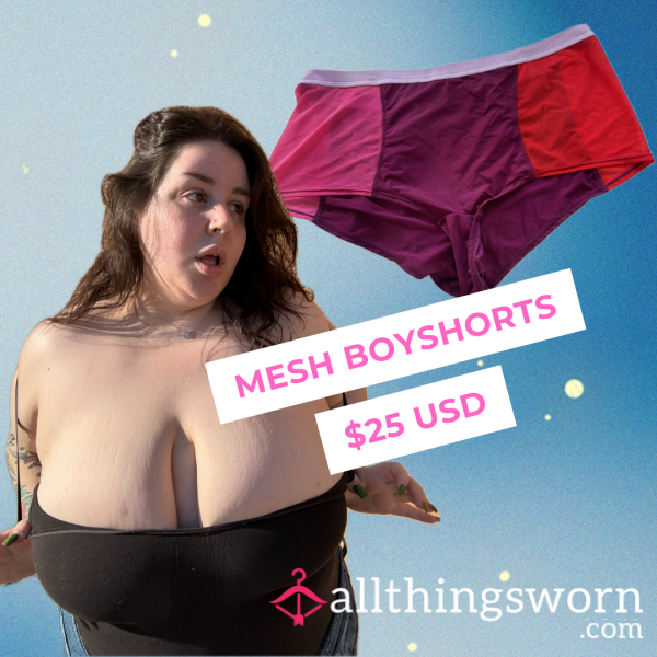 BBW Mesh Pink And Purple Boyshort Panties