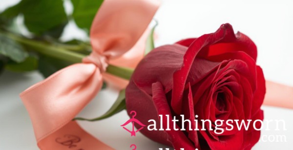 Be My Valentine? 💋 Buy Me A Single Red Rose & Get A Personalised Video!
