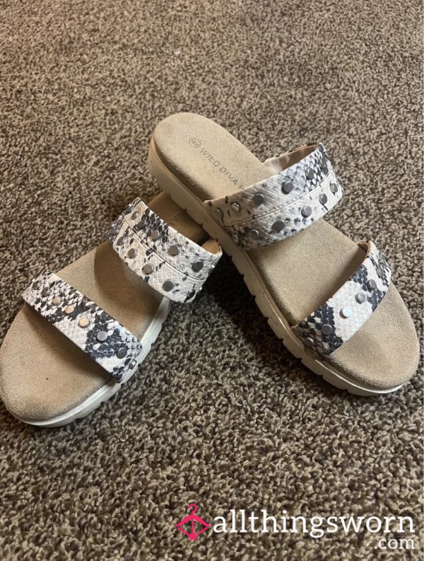 Beach / House Slides Well Worn