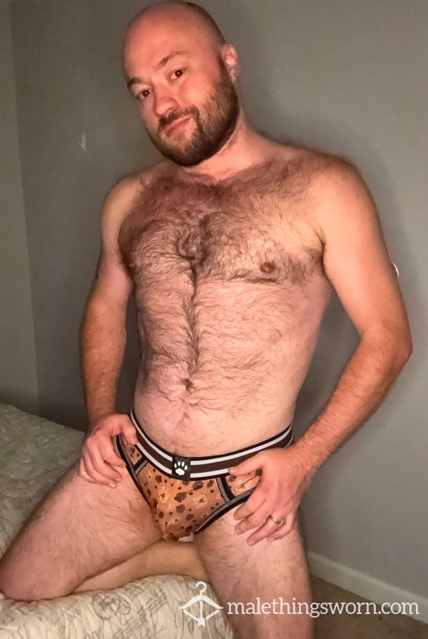 Bear Openback Brief
