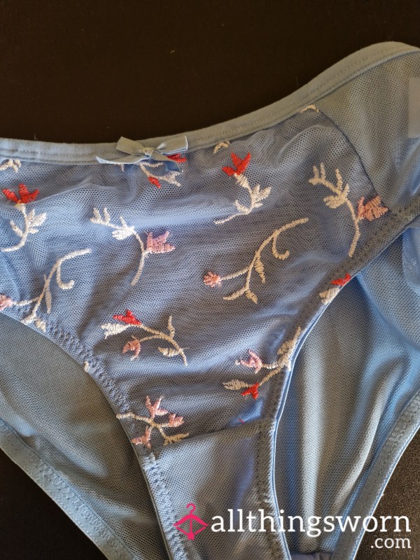 Beautiful Delicate Embroidery Panties X