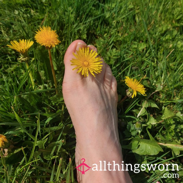Beautiful Feet