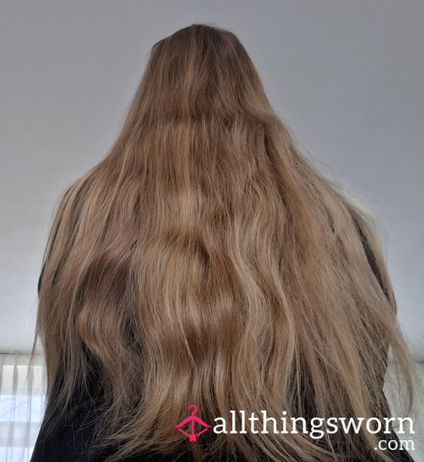 Beautiful Long Blond Hair.