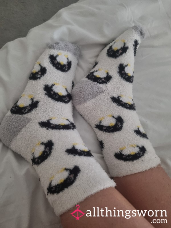 Bed Socks Worn