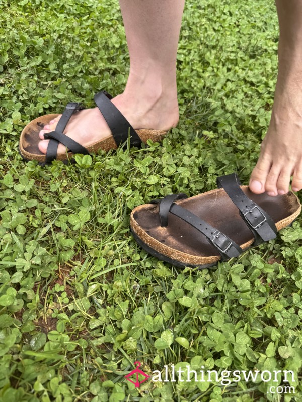 Befouled Birks