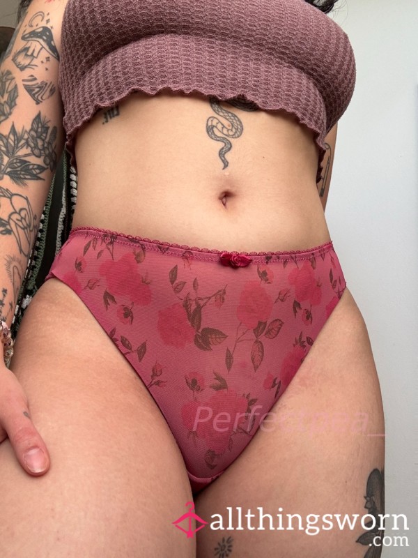 Berry Mesh Briefs - More Colours Available!