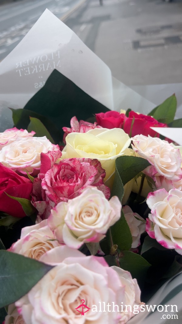 Beta Pixel Admirer 🥀Valentines Lingerie Edition🥀