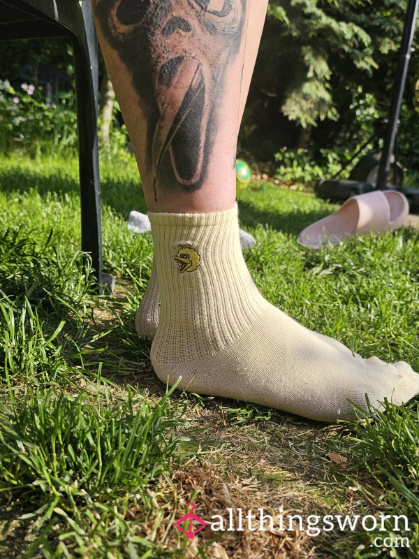 Big Bird Socks Well Worn