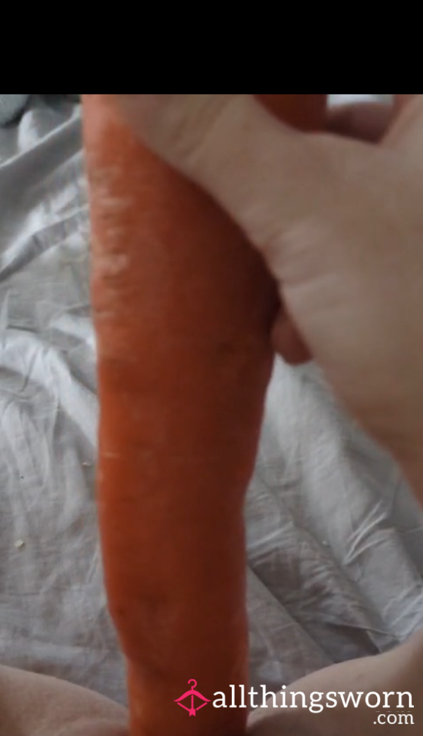 Big Carrot Fun