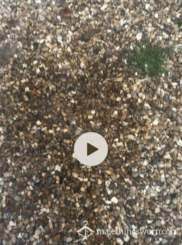 Big Pi*s Video