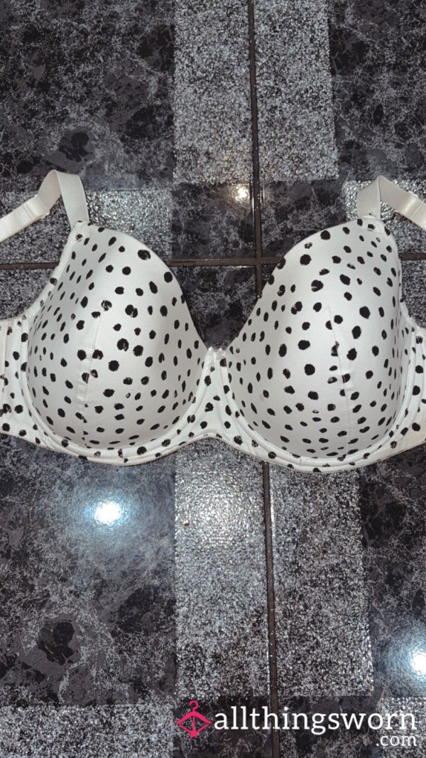 BIG Worn Big Titty Bra