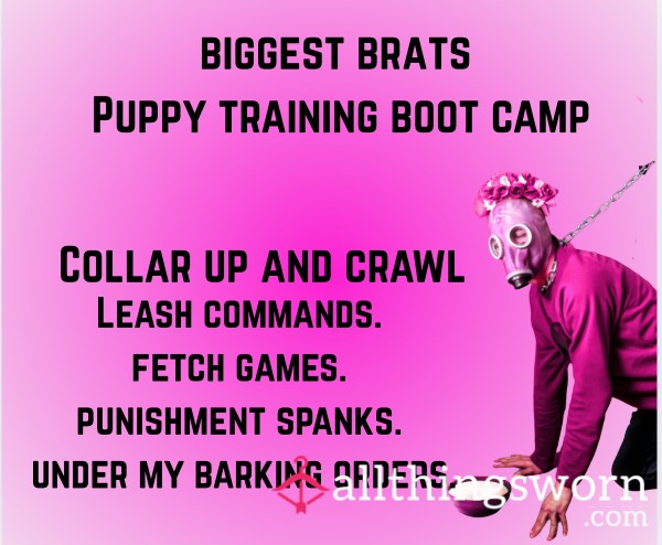 Biggest Brats Puppy Training Boot Camp 🐶