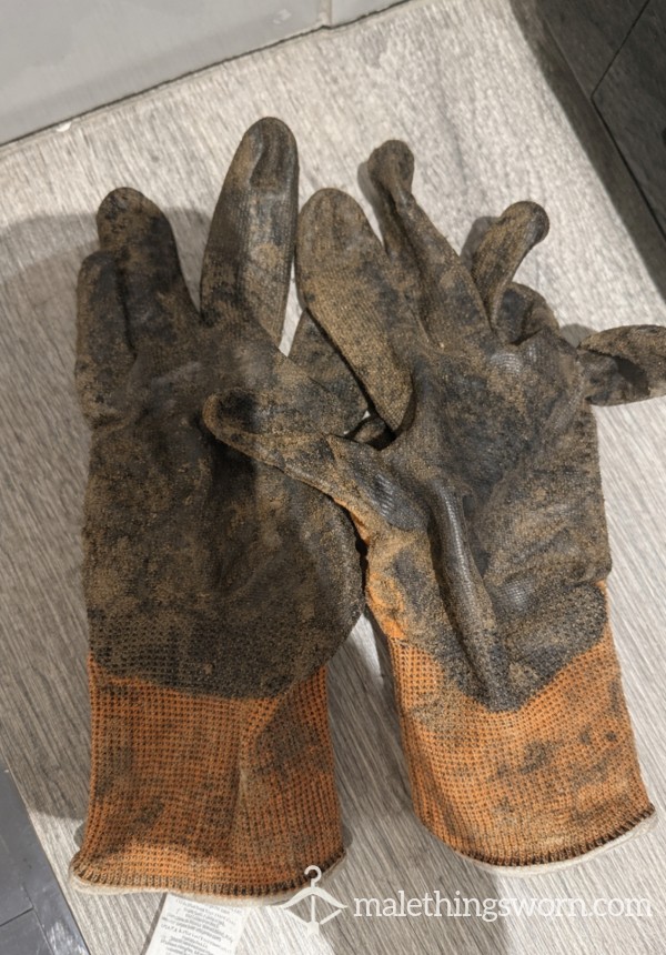 Biking Gloves