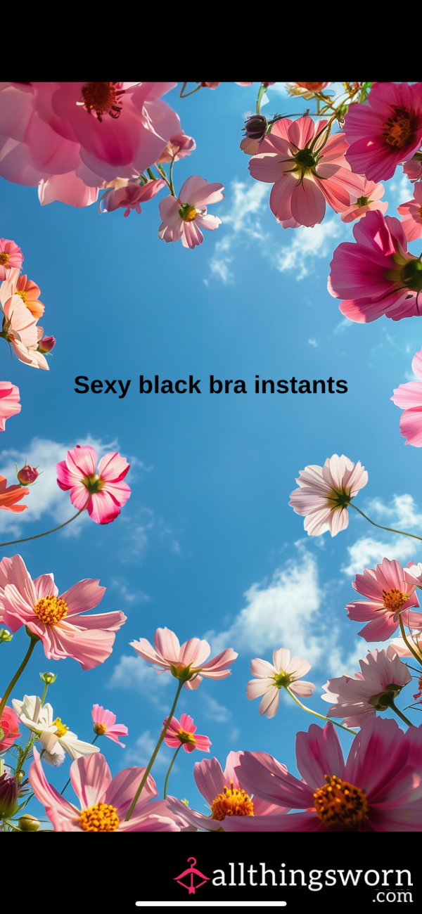 Black Bra
