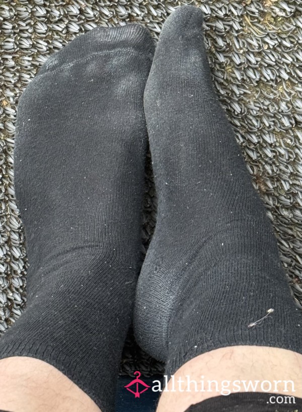 Black Cotton Crew Socks