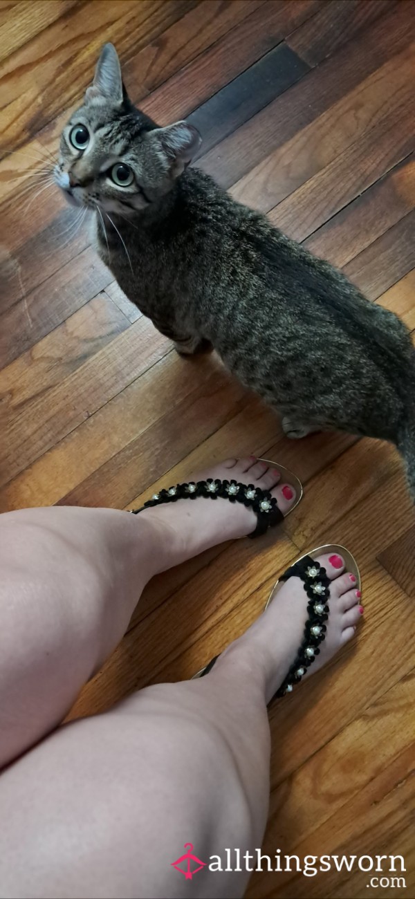 Black Flat Sandals With Flowers, Worn Often