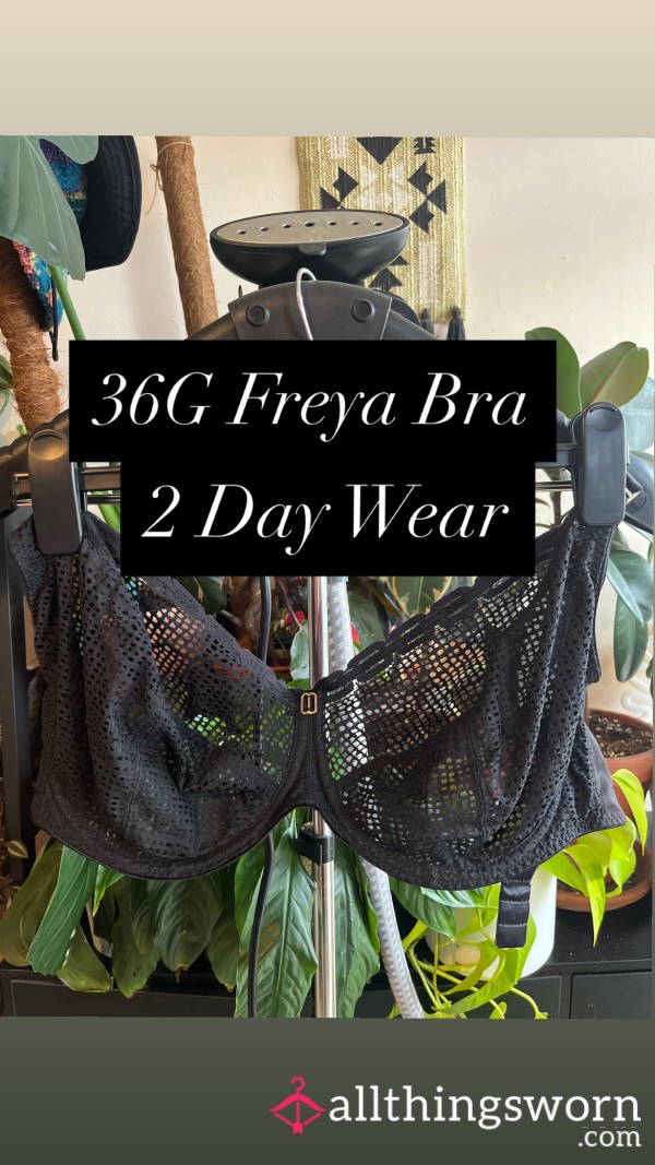Black Netted Freya Bra 36G Well Worn