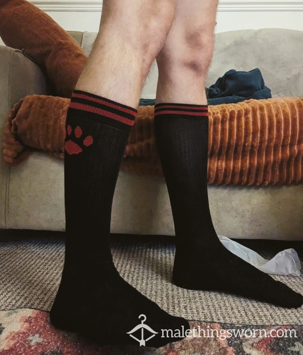 Black Paw Print Prowler Socks