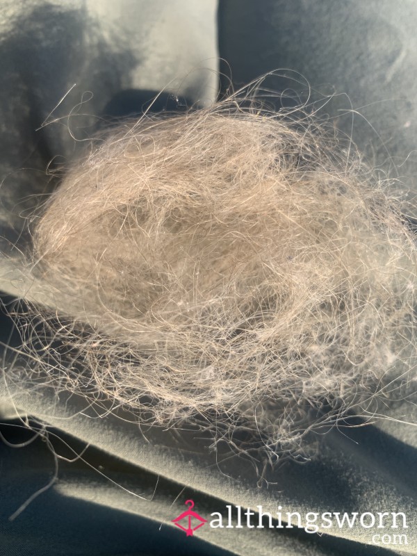 Blonde Hair From Hairbrush (handful)
