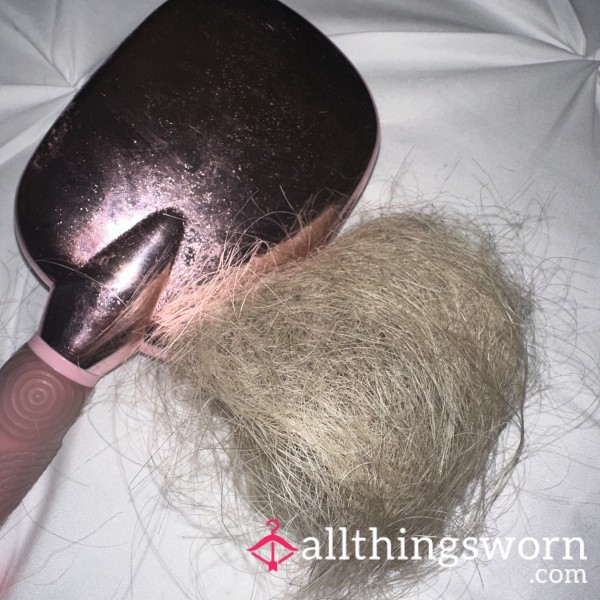 Blondie’s Hair Brush Hair 🩷