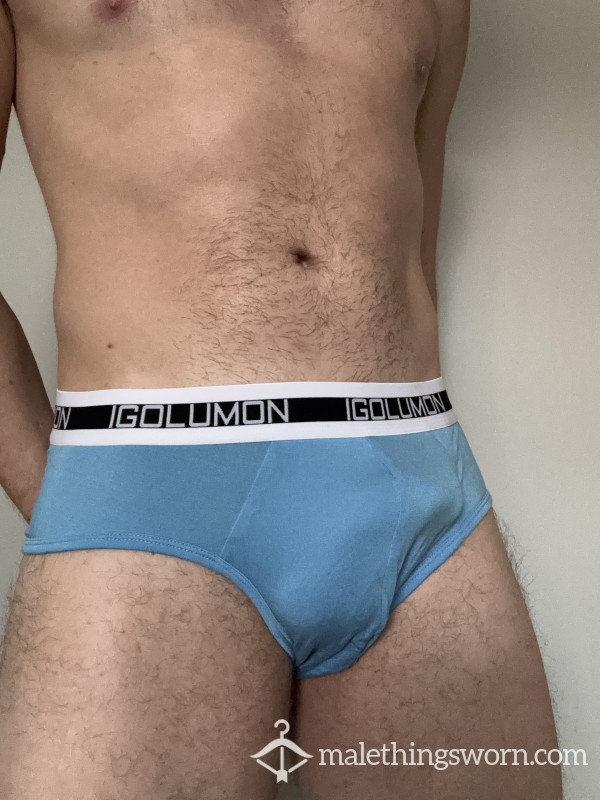 Blue Briefs (SOLD)
