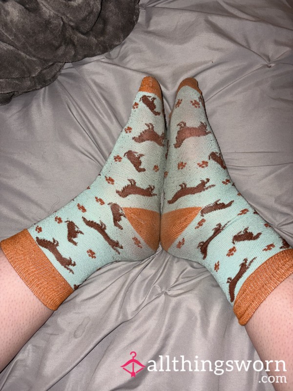 Blue Dog Socks