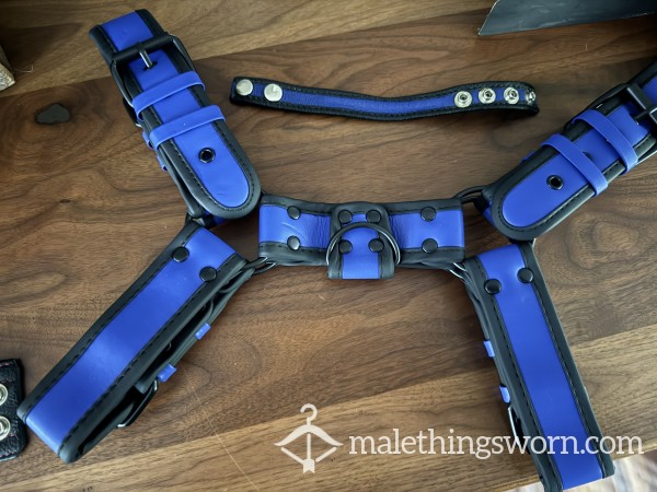 Blue Harness