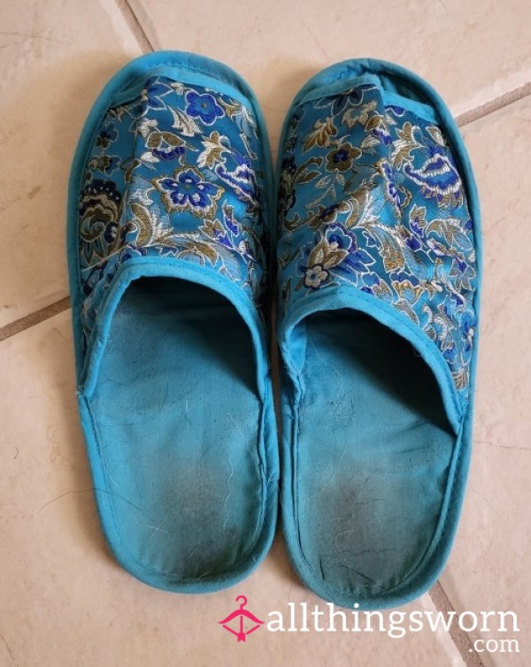 Blue House Slippers