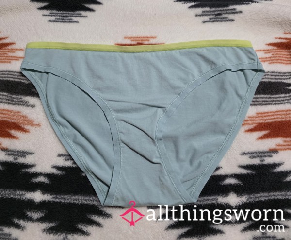 Blue-ish Full Back Panty