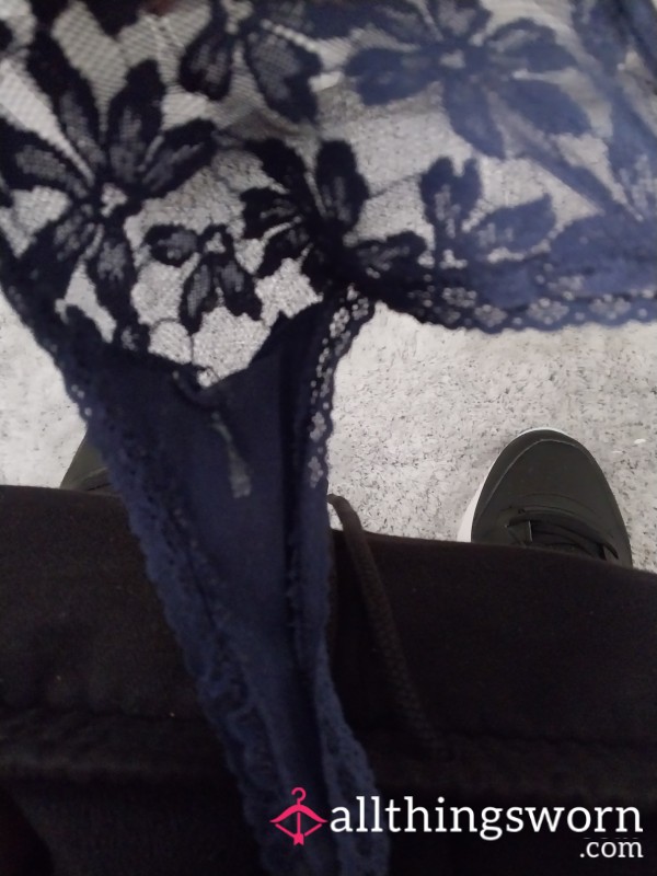 Blue Lacy From Pink