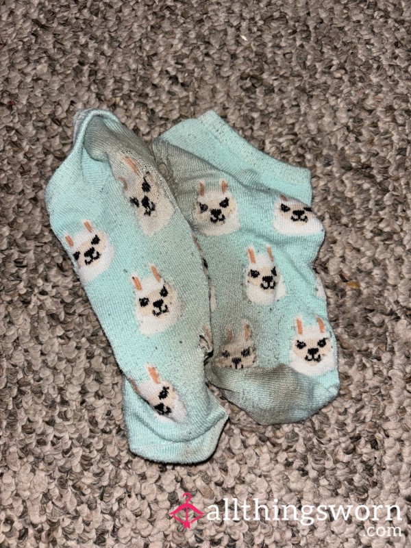 Blue Llama Socks